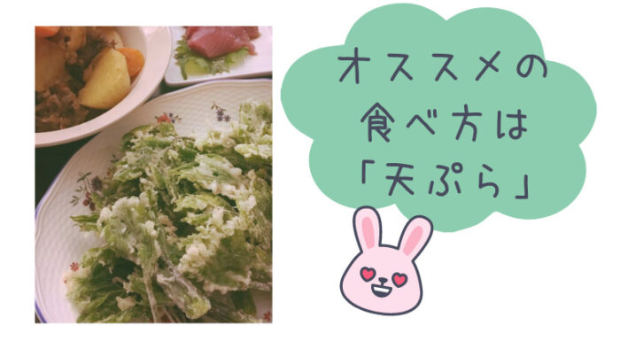 山菜コシアブラのオススメな食べ方は「天ぷら」
